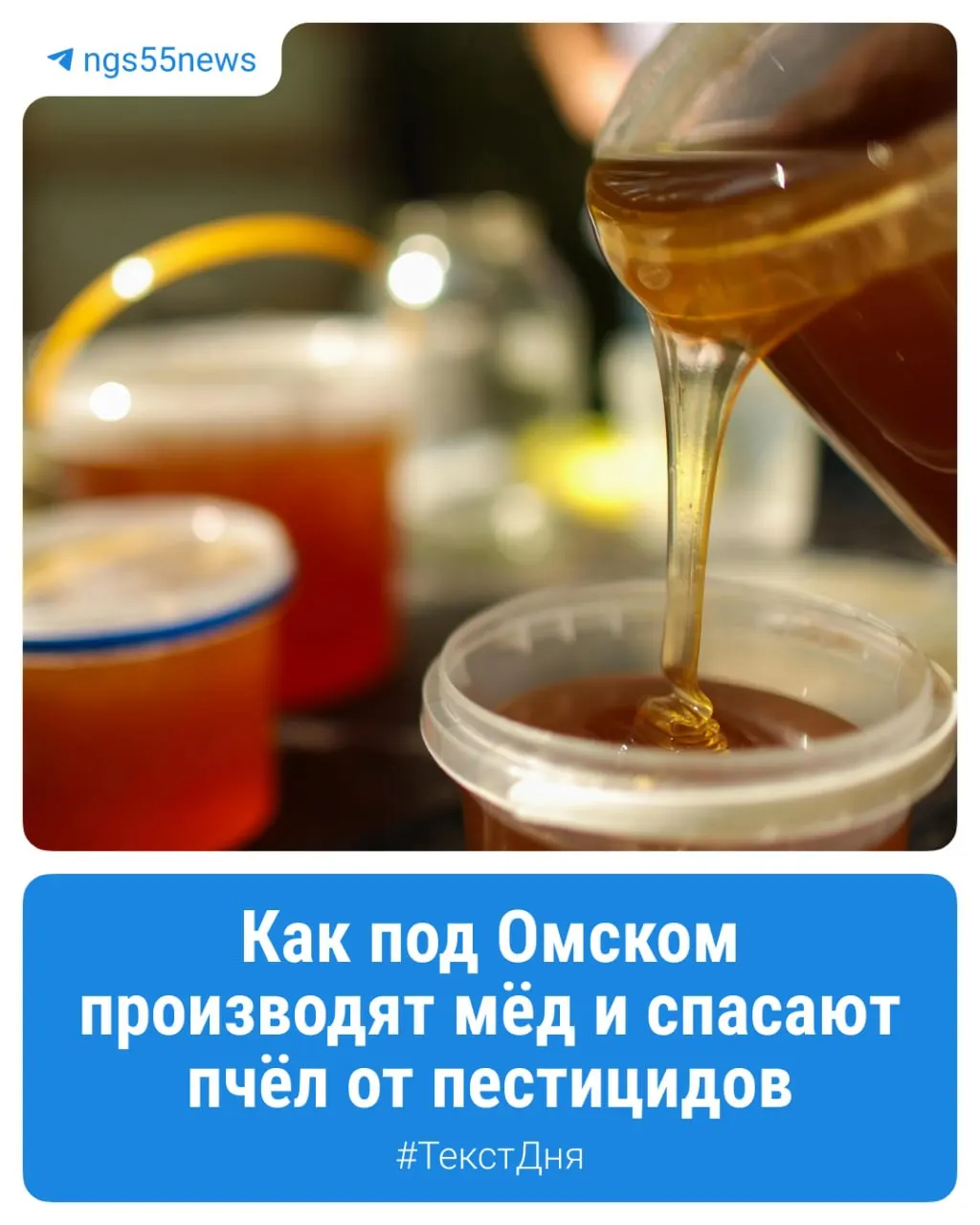 На краю леса расположена пасека, тесно связанная с полевыми работами; в материале рассказываем, как устроено ульевое хозяйство и какие риски несёт агрохимия для пчёл.