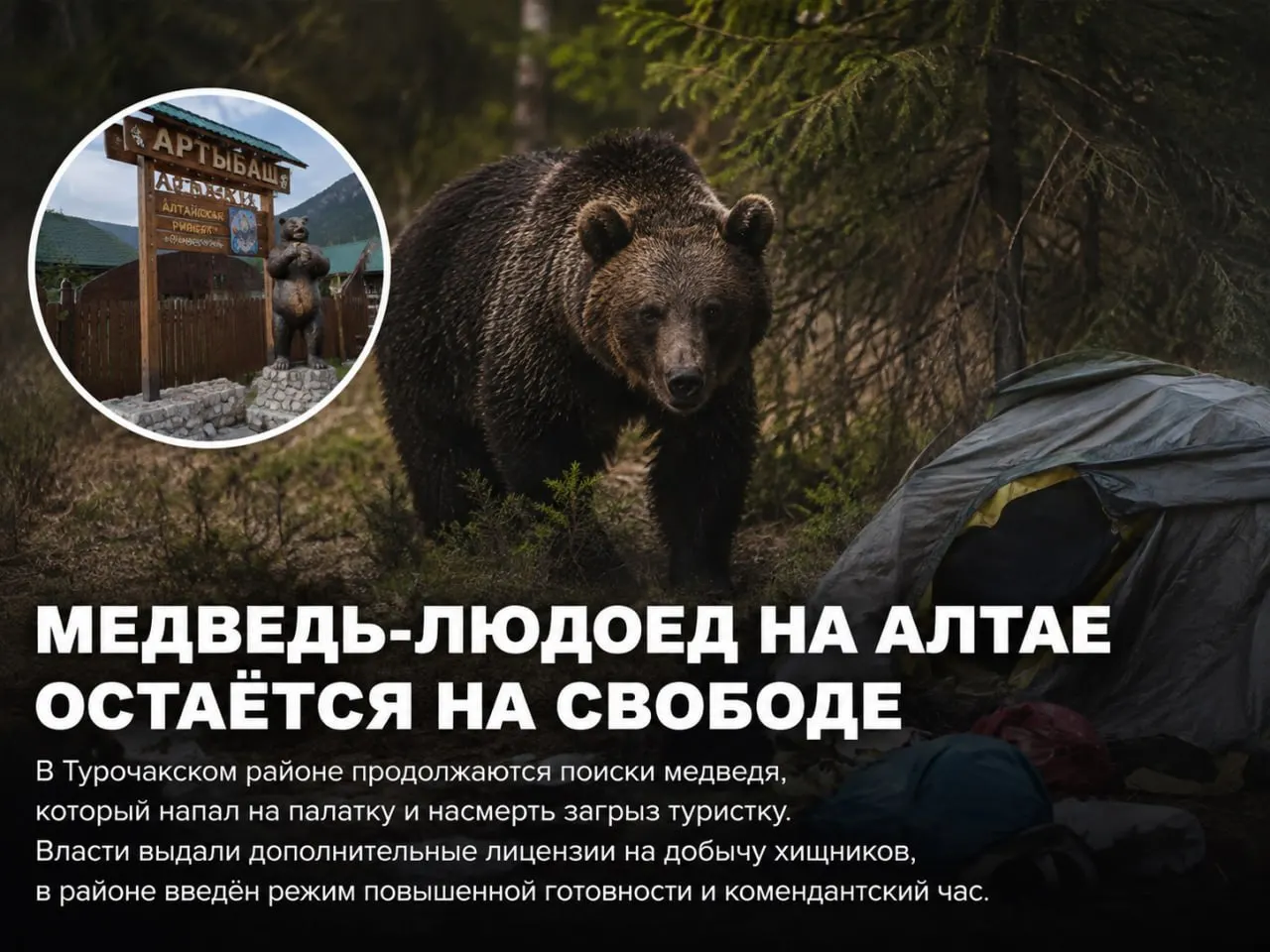 За двое суток после инцидента в окрестностях сел Иогач и Артыбаш уничтожено 12 медведей. Мониторинг за передвижением хищников ведут беспилотники, приняты меры безопасности.