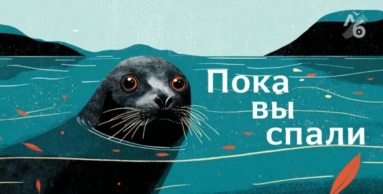 Несколько регионов сообщают о задержаниях по контрактам с Минобороны, гибели музыканта и ряде инцидентов, а потепление климата влияет на китов у берегов Гренландии.
