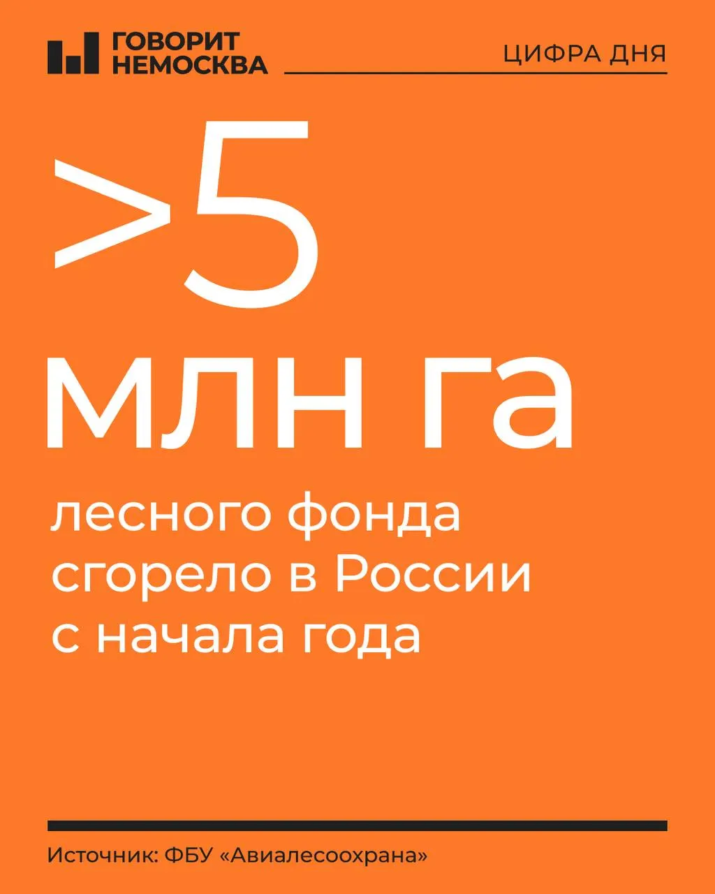 За год зафиксировано около восьми тысяч лесных пожаров; действующих — 132 на площади свыше 411 тысяч гектаров; лидеры по масштабу — Дальний Восток и Сибирь.
