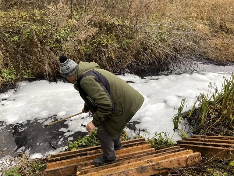 Местные жители добивались мер по очистке водных объектов на протяжении двух лет; суд вынес решение, затрагивающее деятельность предприятий и состояние экосистем.
