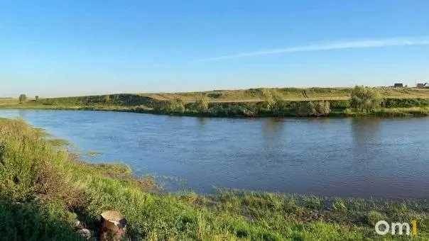 В мешке обнаружены кирпичи и погибшие кошки; жители требуют убрать останки и утилизировать их.