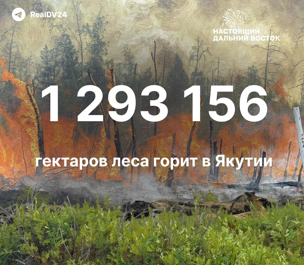 За сезон зафиксировано 485 лесных пожаров; пройдено огнем свыше 1,29 млн га; в регионе действуют 68 очагов, 56 из них — крупные.