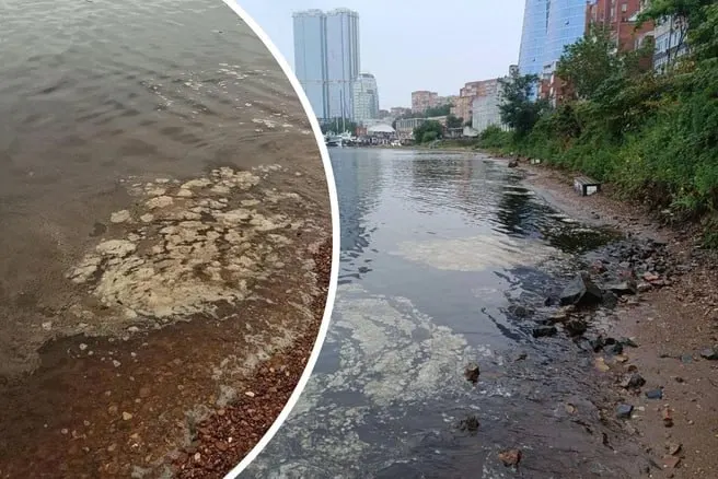 На побережье зафиксировано цветение водоросли, из-за которого вода стала мутной и образовалась липкая пленка. Экологи объясняют причины и оценивают риски для отдыхающих.