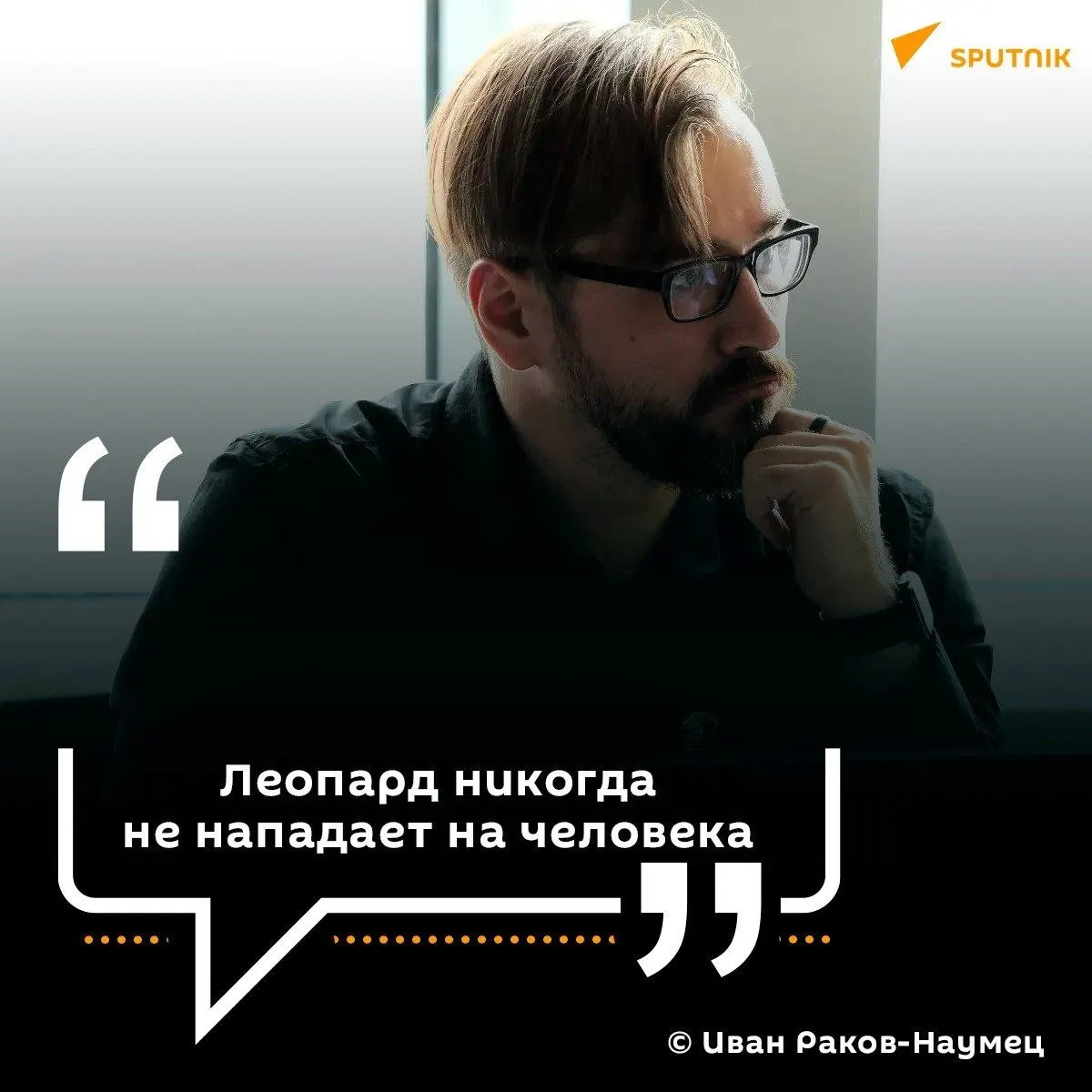 Популяция амурского леопарда в Приморье достигла около 223 особей на трансграничной территории; специалисты отмечают тенденцию роста и современные подходы к учету и охране.