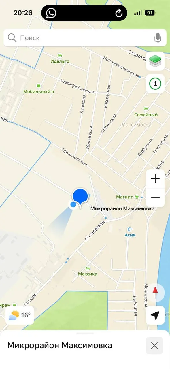 В Максимовке зафиксированы случаи поваливания леса и мусор после строительных работ; ожидается реакция властей.