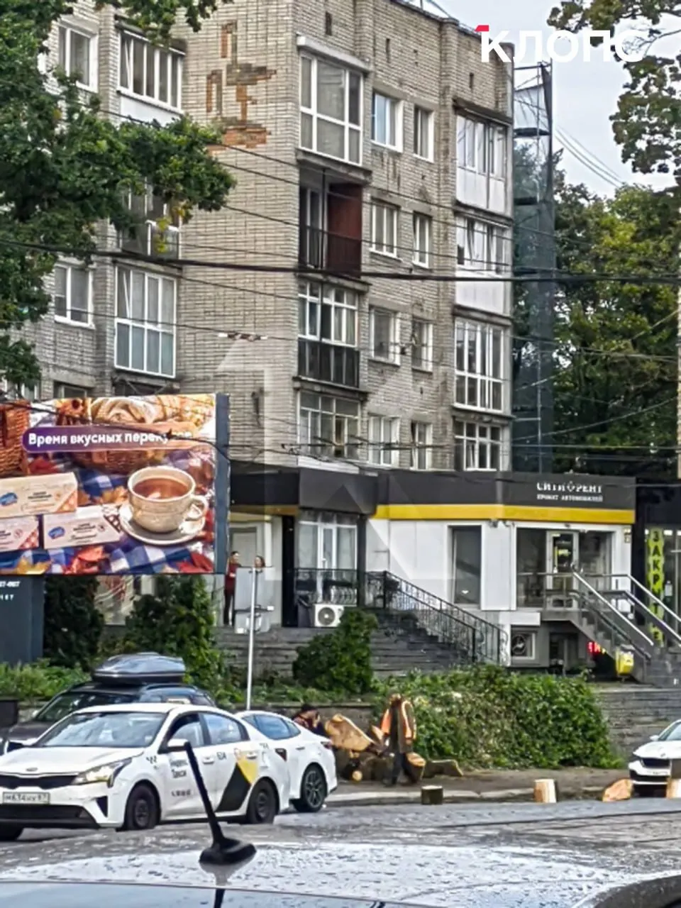 Очевидцы говорят, что дерево было высотой с дом, а обхват ствола могли охватить лишь двое; рядом остаются ещё два крупных дерева, и жители ждут пояснений властей.