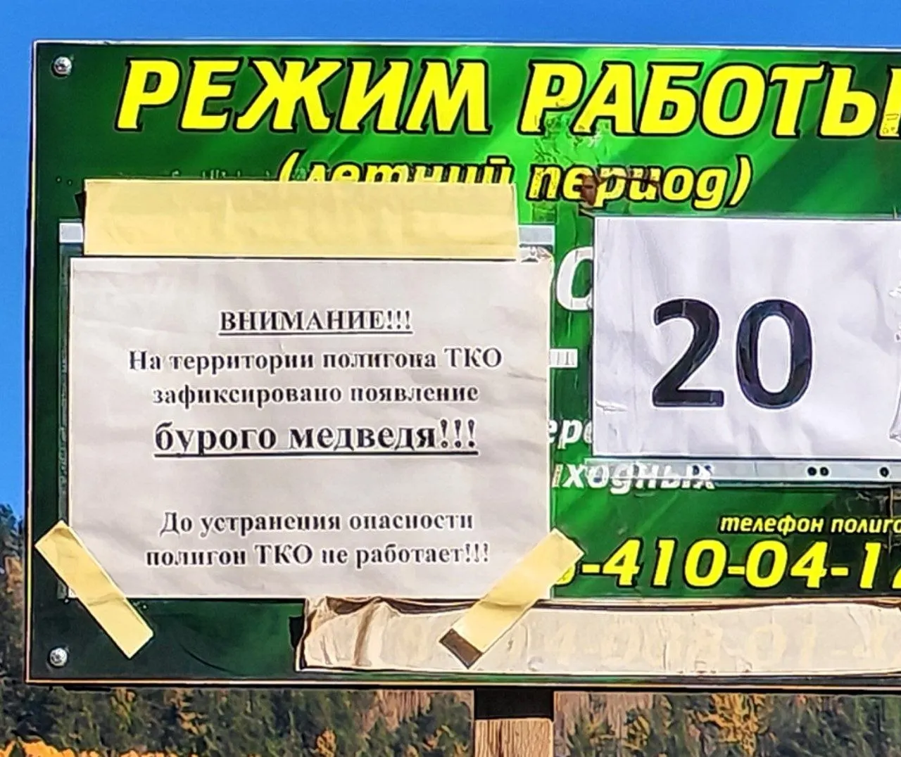 Из‑за появления медведя у места накопления отходов в Братске ограничили работу полигона; ограничение затрагивает мелкий транспорт, крупный продолжает принимать отходы. В регионе введён режим повышенной готовности.