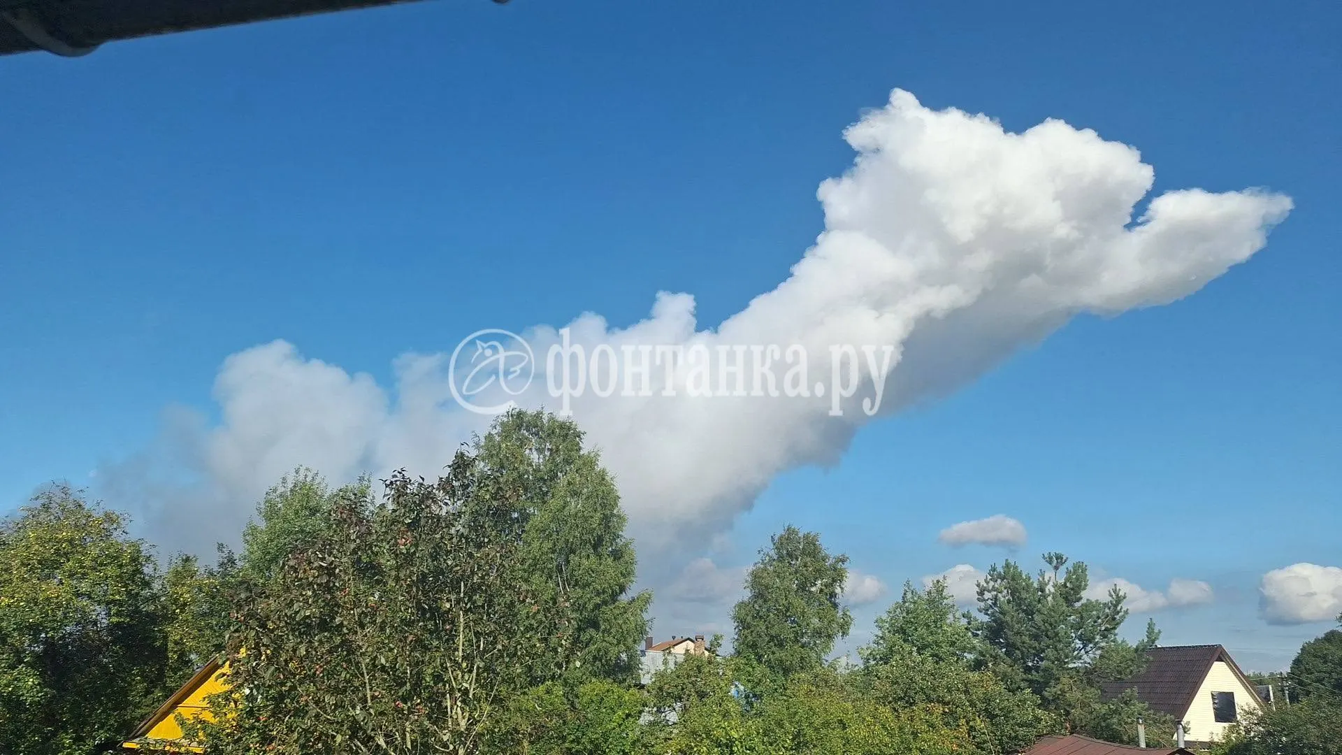 Взрыв газового баллонa на&nbsp;свалке под&nbsp;Янино: пострадавших нет