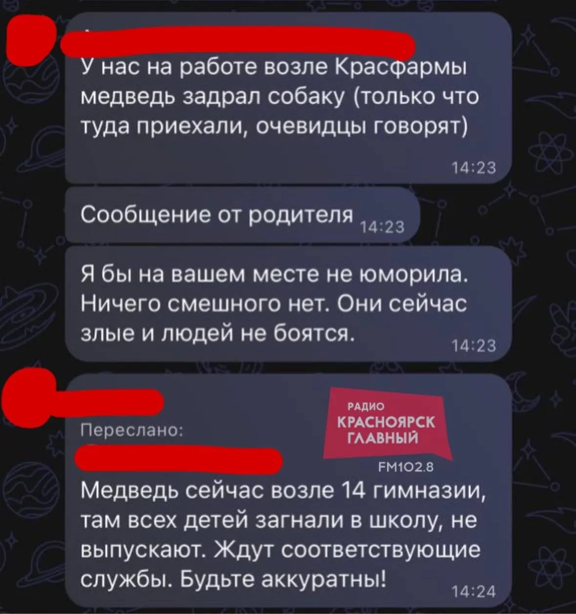 Хищник замечен рядом с гимназией, школьники остаются внутри здания, а зверь изучает мусор у близлежащей остановки.