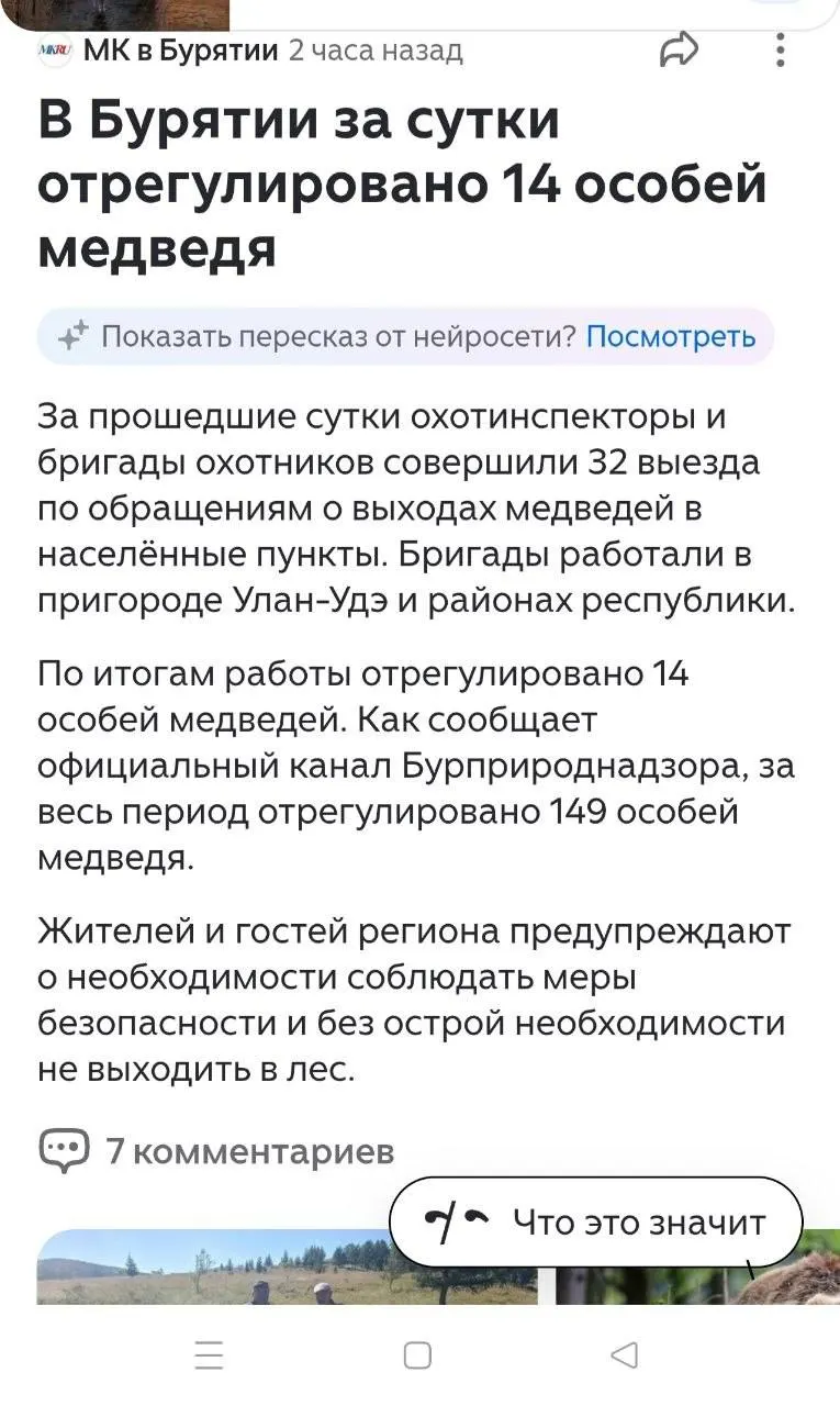 Из-за медведя, замеченного в городской черте, учебные заведения Закаменска перешли на дистанционный формат занятий; зафиксированы обращения о выходах хищника к людям.