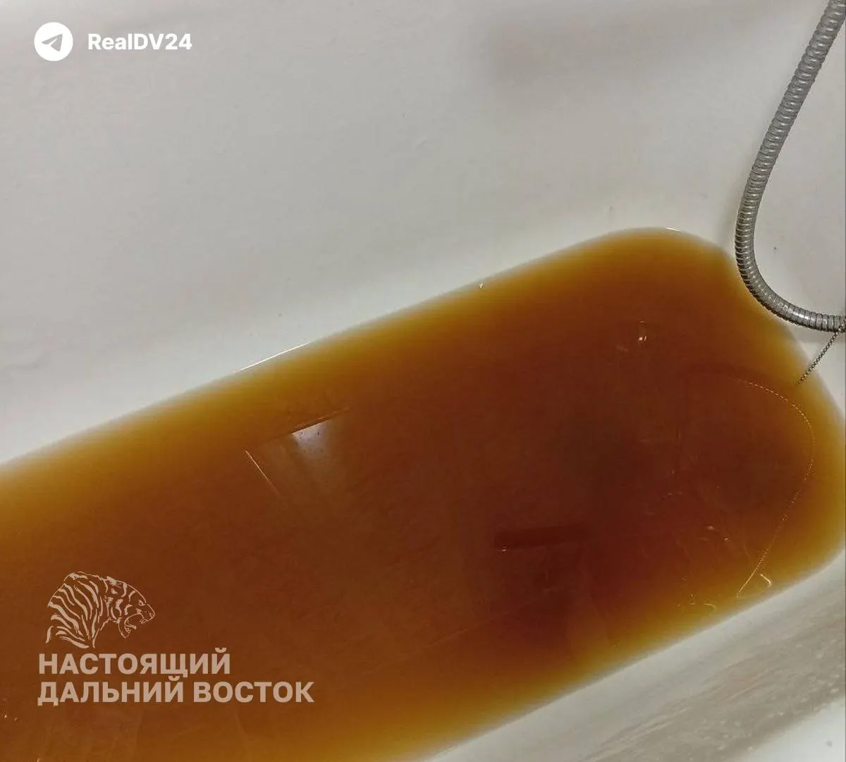 В городе на побережье Дальнего Востока продолжается проблема питьевой воды: мутная вода из кранов, отключение горячего водоснабжения и длинные очереди за водой. Причина — снижение запасов водохранилищ и затягивающаяся модернизация очистных сооружений.