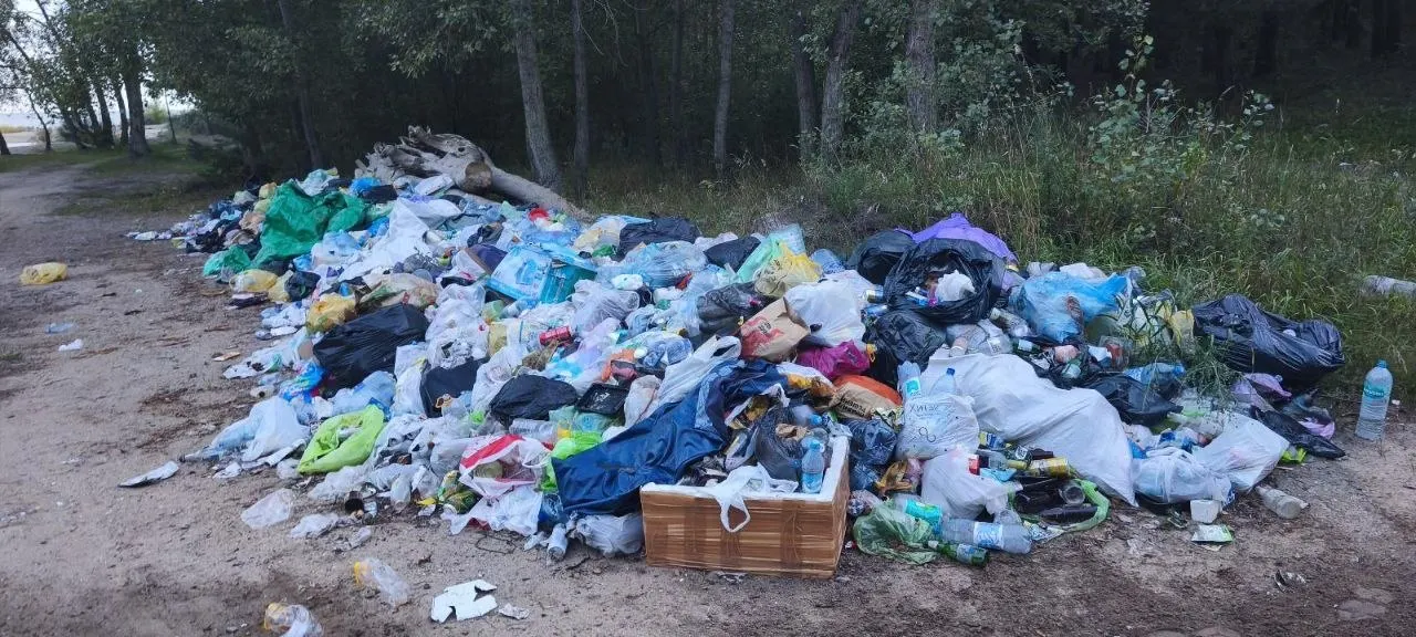 На берегах Обского водохранилища остаются завалы отходов; представитель горсовета призывает к реальным мерам профильных служб и усилению контроля.