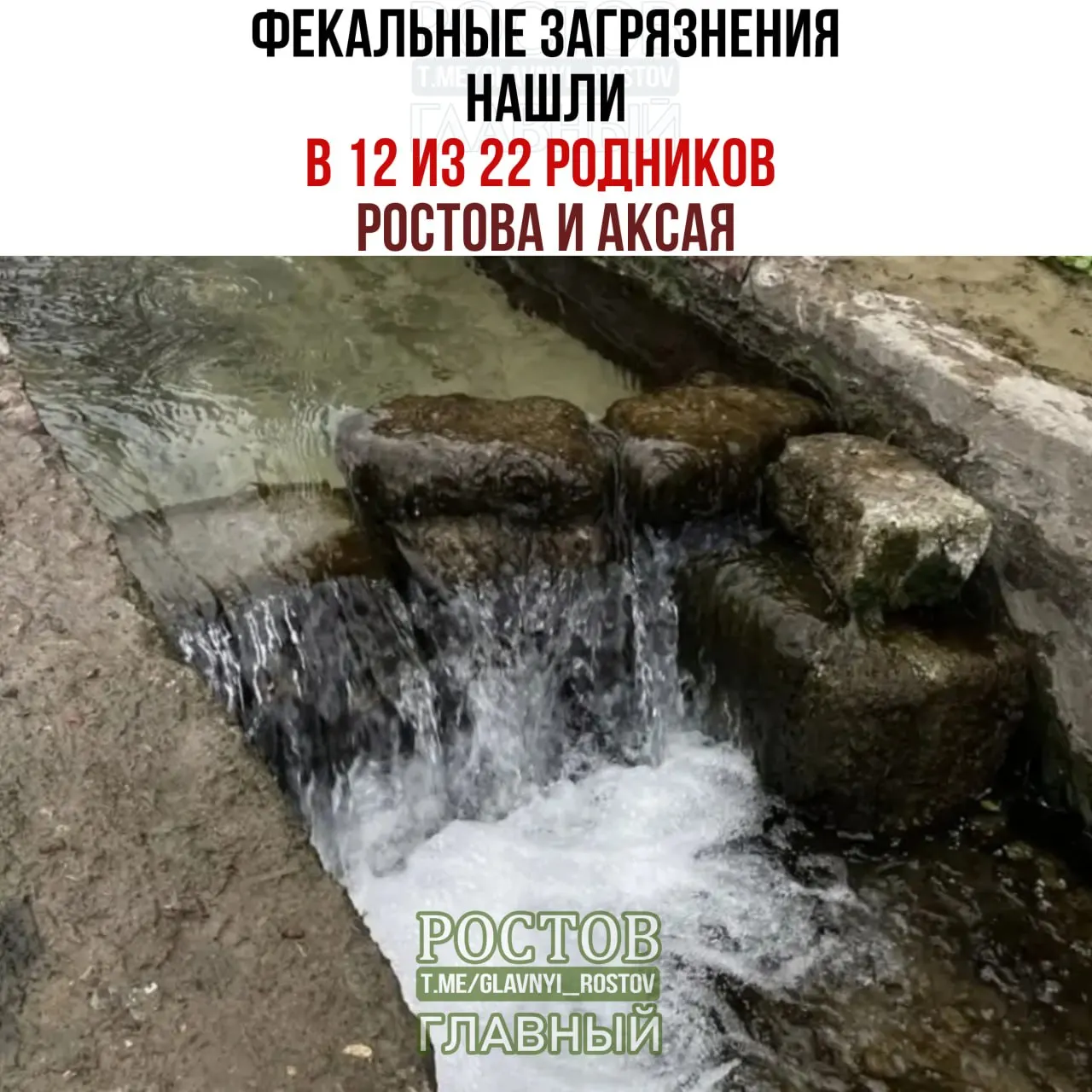Лишь 10 источников соответствуют нормативам питьевой воды.