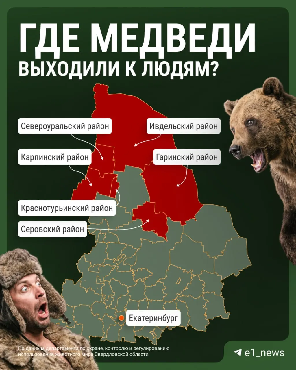 В регионе зафиксированы случаи встреч диких медведей у населённых пунктов: что происходит и как действуют власти.