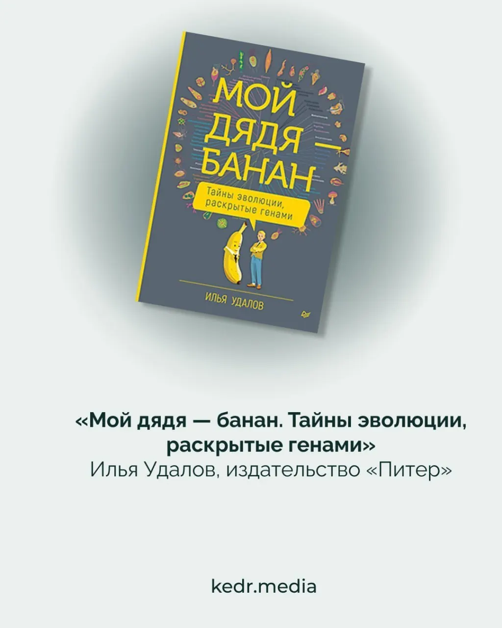 В номинации «Естественные и точные науки» представлены работы, освещающие природу Дальнего Востока и роль науки в современном обществе.
