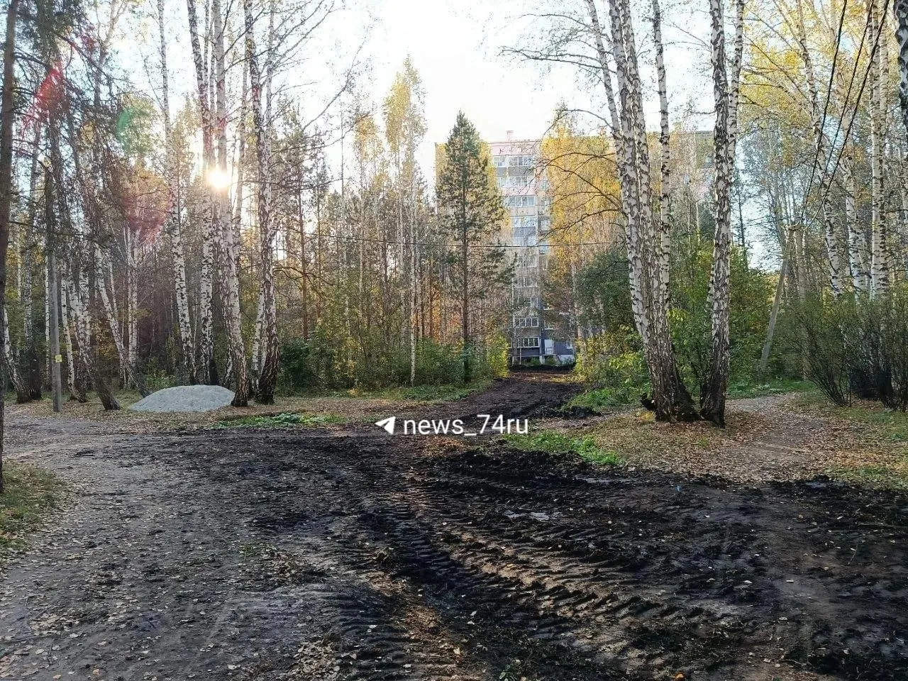 Жители района сообщили о незаконной дороге в городском лесу; чиновники подтвердили нарушение и обещают передать материалы в прокуратуру.