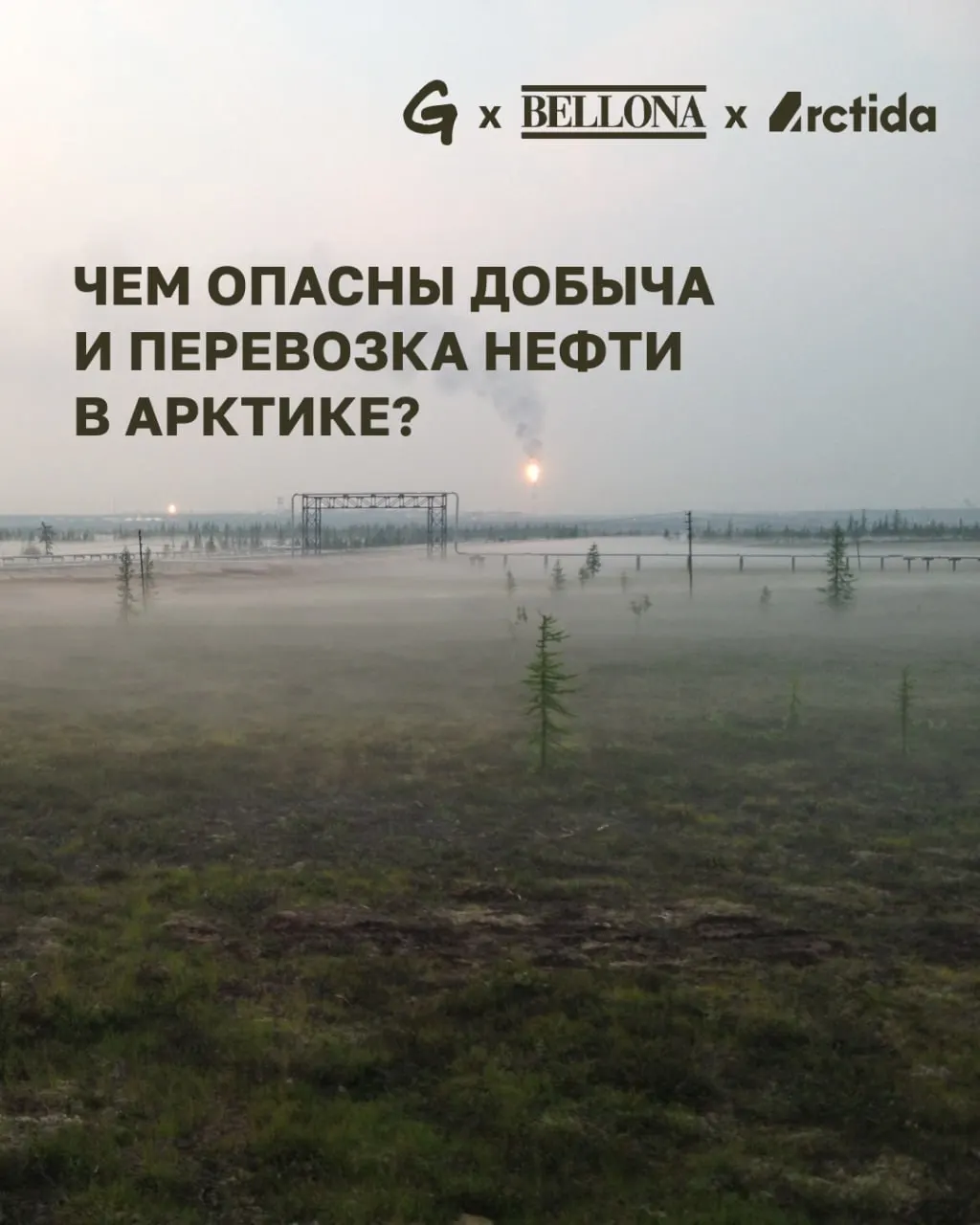 Разбор экологических рисков арктического нефтепроекта, угрозы для природы и инфраструктурных проблем, связанных с добычей и перевозкой нефти по Северному морскому пути.