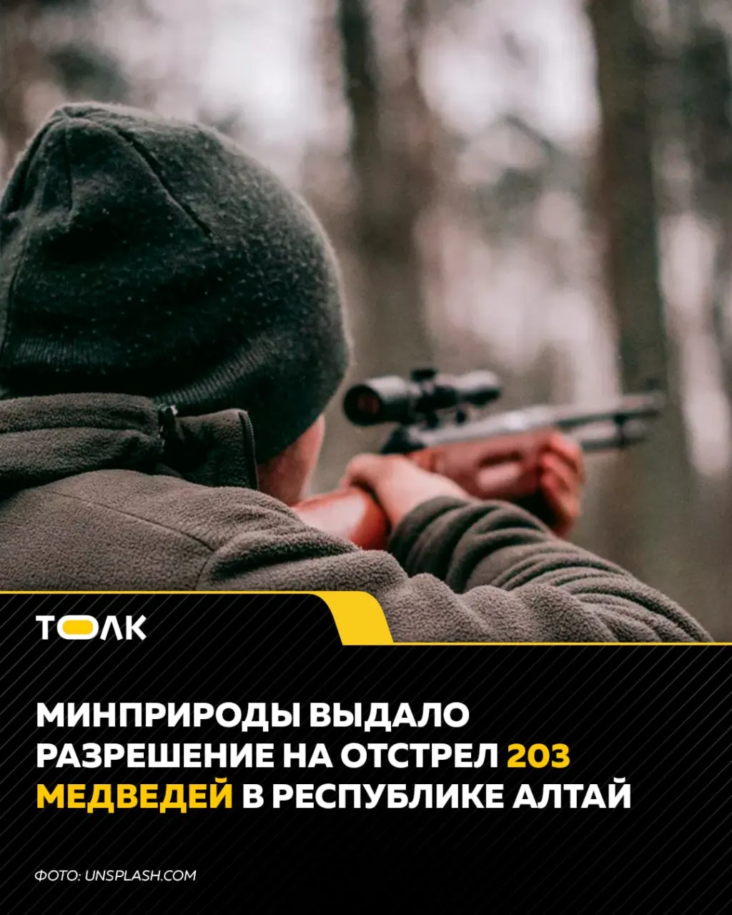 В регионе выдана квота на добычу 203 медведей на период с 1 августа по 17 сентября из-за угрозы здоровью населения; годовая добыча составляет 1134 особи.
