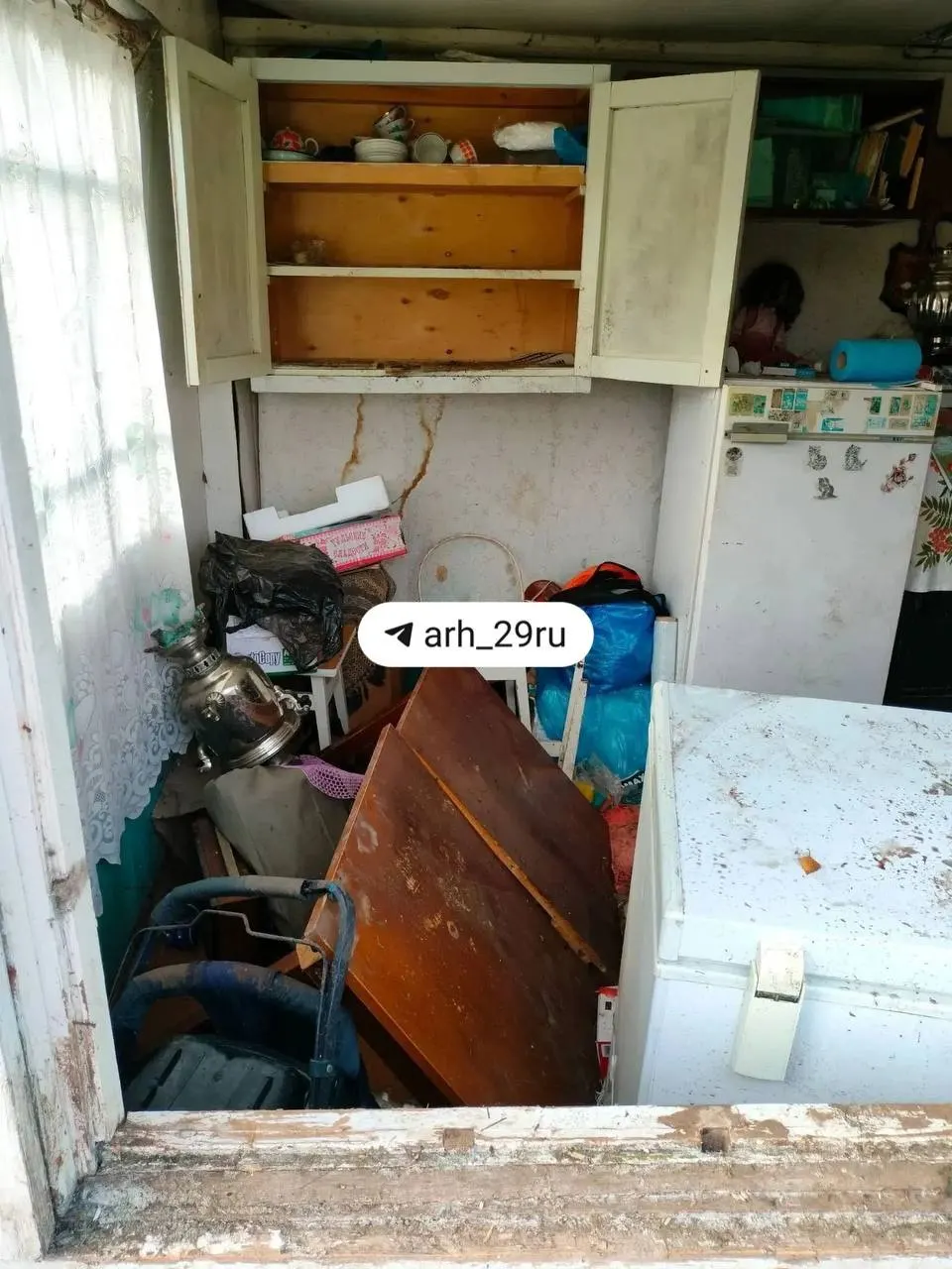 Зверь повредил уже десять домов; власти сообщили об отстреле для Верхней Золотитицы и поиск охотника для Нижней Золотицы.