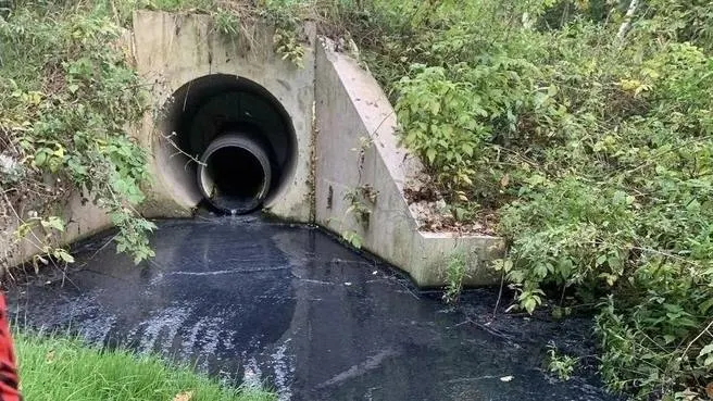 Черная вода попала в водоток Камарихи; местные жители требуют разъяснений и мер по защите природы.
