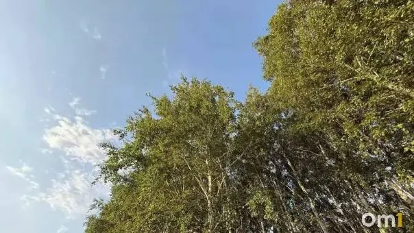 Регион вводит комплекс профилактических мер, ведётся круглосуточный мониторинг численности диких медведей и усиленный контроль в населённых районах.