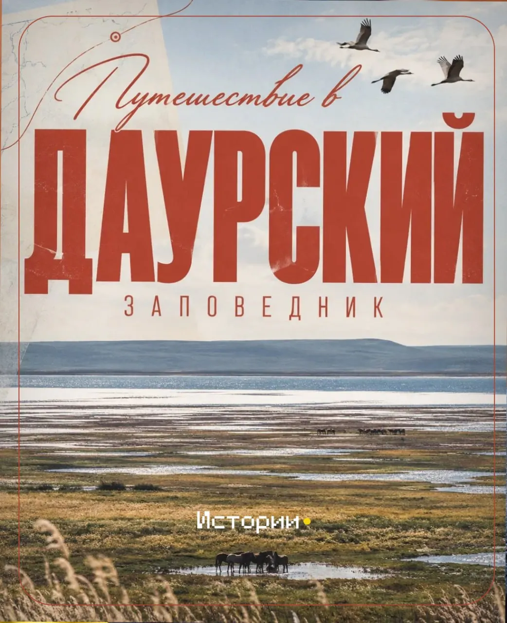 Двухдневное путешествие по Ононскому району и Даурскому заповеднику раскрывает суровую красоту степи и бесконечную тишину дальних просторов.