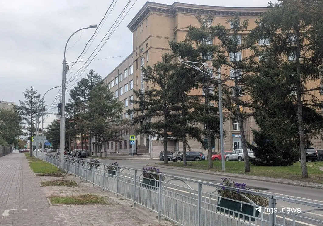Мэрия объяснила причины гибели деревьев и рассказала, какие породы появятся на месте исчезнувших.