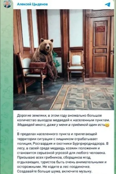 В регионе участились встречи диких медведей с населением: зафиксирован инцидент, пострадавший мужчина доставлен в больницу в тяжёлом состоянии.