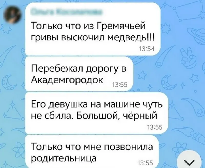 По районам города зафиксированы появления медведей; власти призывают соблюдать осторожность и сообщать о встречах с зверями.