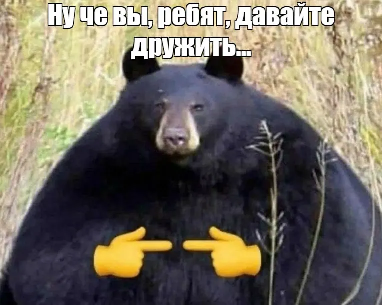 Медведи выходят на улицы городов Кузбасса; власти объясняют причины роста активности и обсуждают меры.