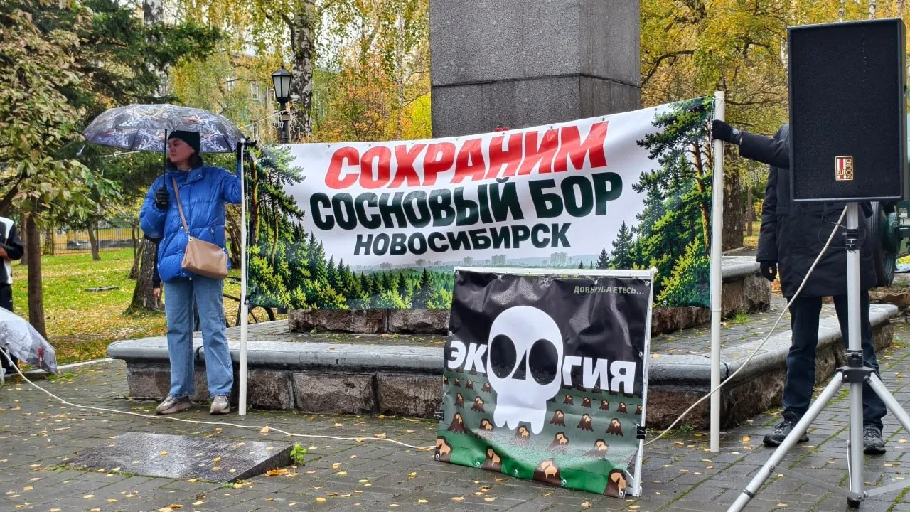 Прокуратура подтвердила нарушения: вырубка велась без правоустанавливающих документов; митинг против проекта прошёл в городе.
