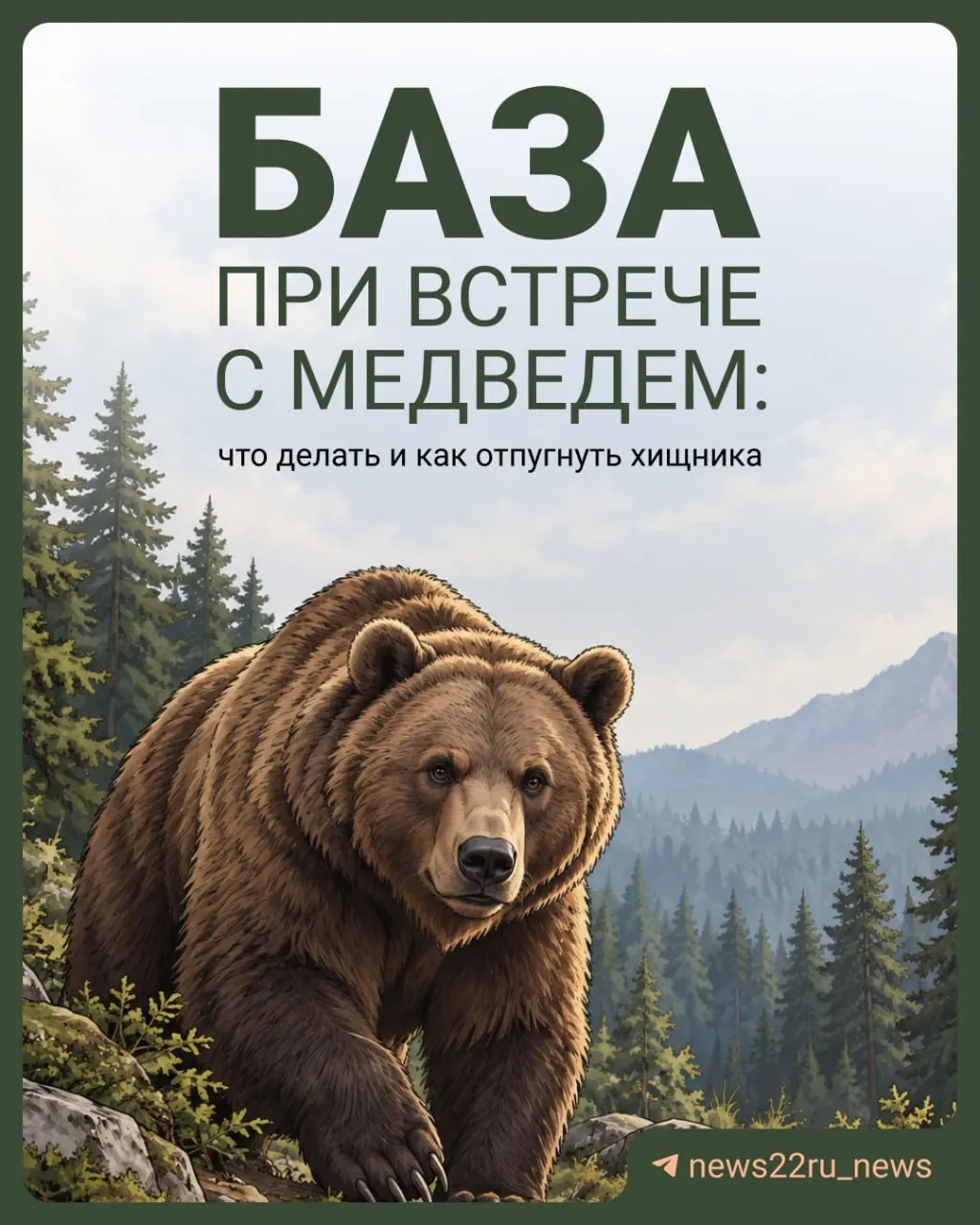 Статья о том, как снизить риск встречи с медведем и что делать, если зверь подошёл.