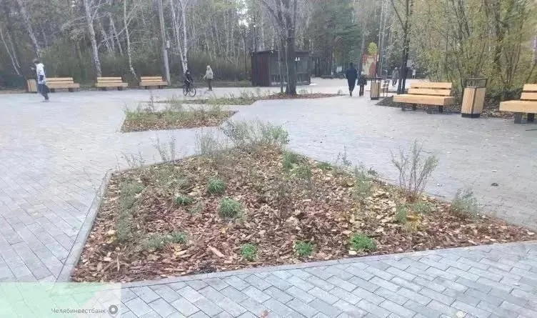 Подрядчик завершил высадку запланированных растений, однако работы пока не приняты и не оплачены. Растения будут обследованы весной, замена по гарантии возможна при гибели.