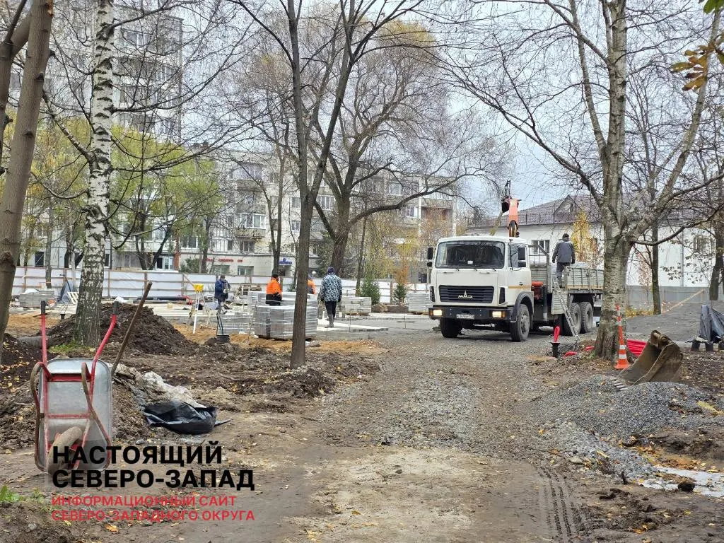 Сквер у кинотеатра планировали благоустроить к юбилею города, однако часть деревьев вырублена, проект не представлен, жители требуют разъяснений.