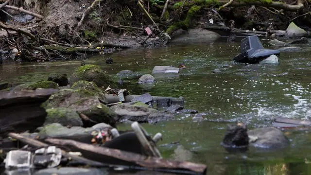 Расчистка проведена на четырех участках водоёма общей протяжённостью свыше 2,5 км; удалено около 5 тысяч кубометров донных отложений и растительности.