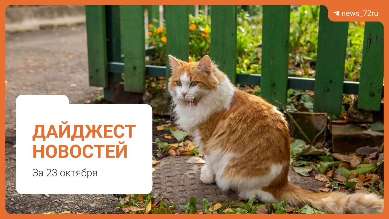 Жители сообщают о липкой воде; в выпуске также — блокировка подъездов, новые тарифы на ЖКУ и другие городские события региона.