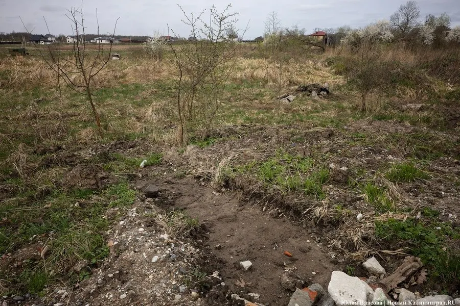 Природоохранная прокуратура подала исков на возврат участков общей площадью 21,3 тыс. кв. м в береговой зоне рек Преголя, Гурьевка и Приморская; часть участков оформлена на физических лиц, проверка продолжается.