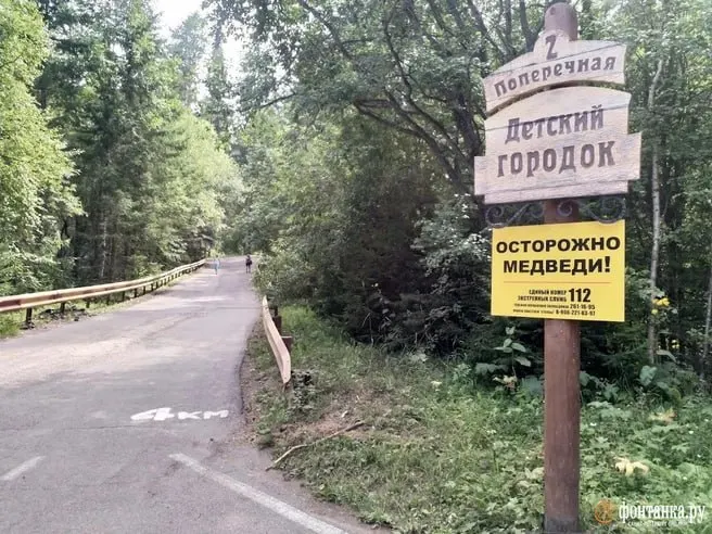 Депутаты обсуждают меры безопасности в зонах обитания диких животных: установка запирающихся контейнеров и единый свод рекомендаций для туристов.