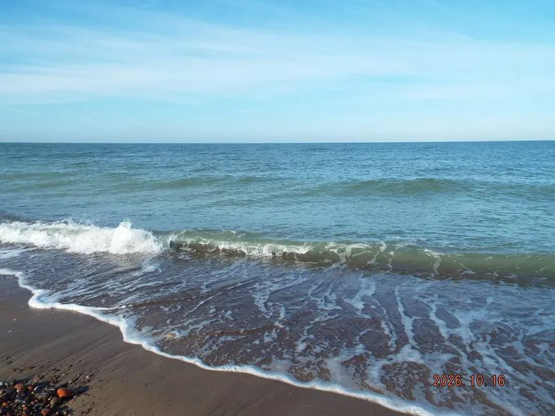 После волнения моря ширина пляжей Куршской косы начала расти, обнажая галечный пояс у береговой линии. Лес выглядит необычно для осени: зацвел аистник, кружат осы, появляются грибы, над нацпарком идёт сезонный перелёт птиц.