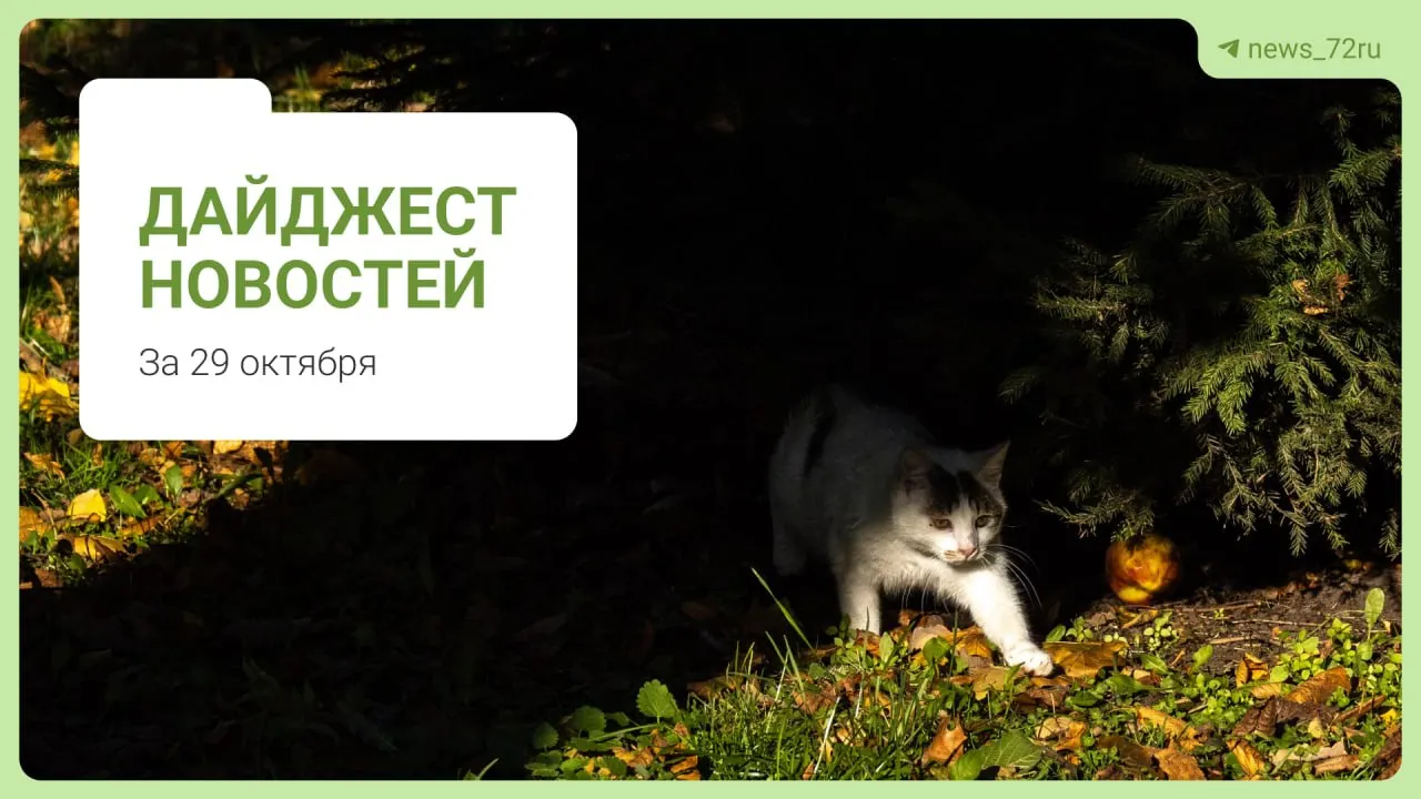 Заместитель губернатора рассказал о мерах по улучшению водоснабжения; в дайджесте — обновления по закрытию школ, дефициту учителей и другим городским вопросам.