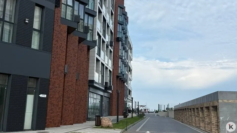 Орнитолог объясняет причины столкновений птиц со стеклянными фасадами и рекомендуемые шаги по предупреждению.