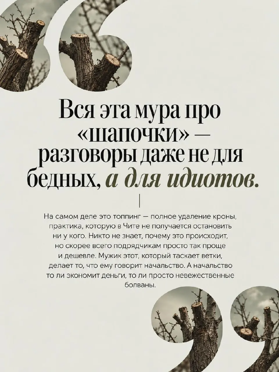 Местные жители и экологические активисты критикуют практику обрезки тополей: деревья теряют защитные функции и страдают от резких вмешательств.