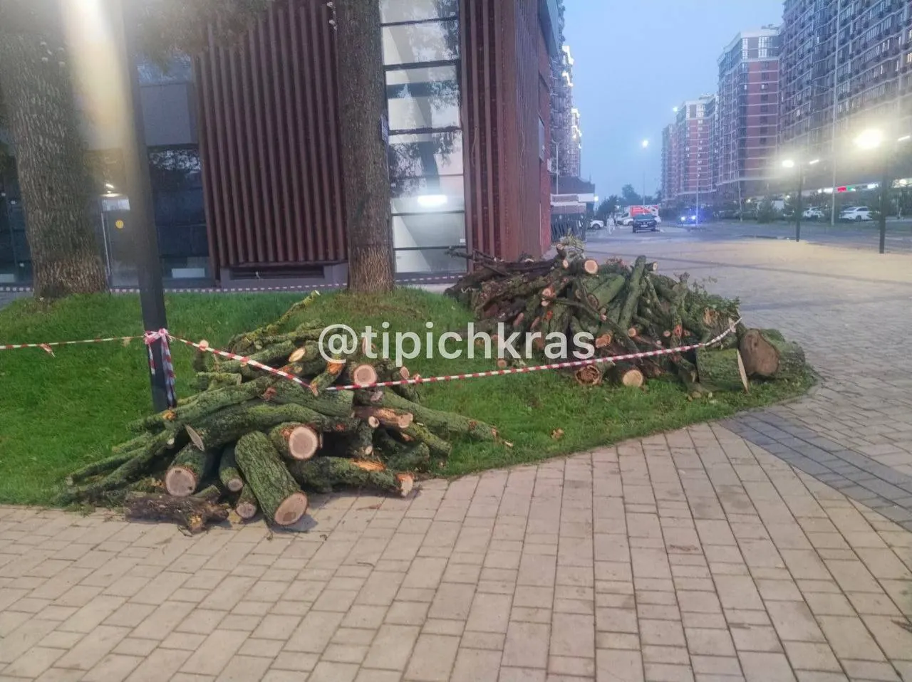 Местные жители сообщают об массовой вырубке вековых дубов в районе, указывают на экологическую угрозу и призывают власти принять меры.