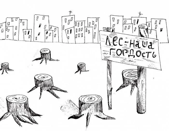 На слушаниях обсудили перевод лесных участков в рекреационную зону и изменения в генплане после протестов жителей и уголовных дел вокруг региональной корпорации.