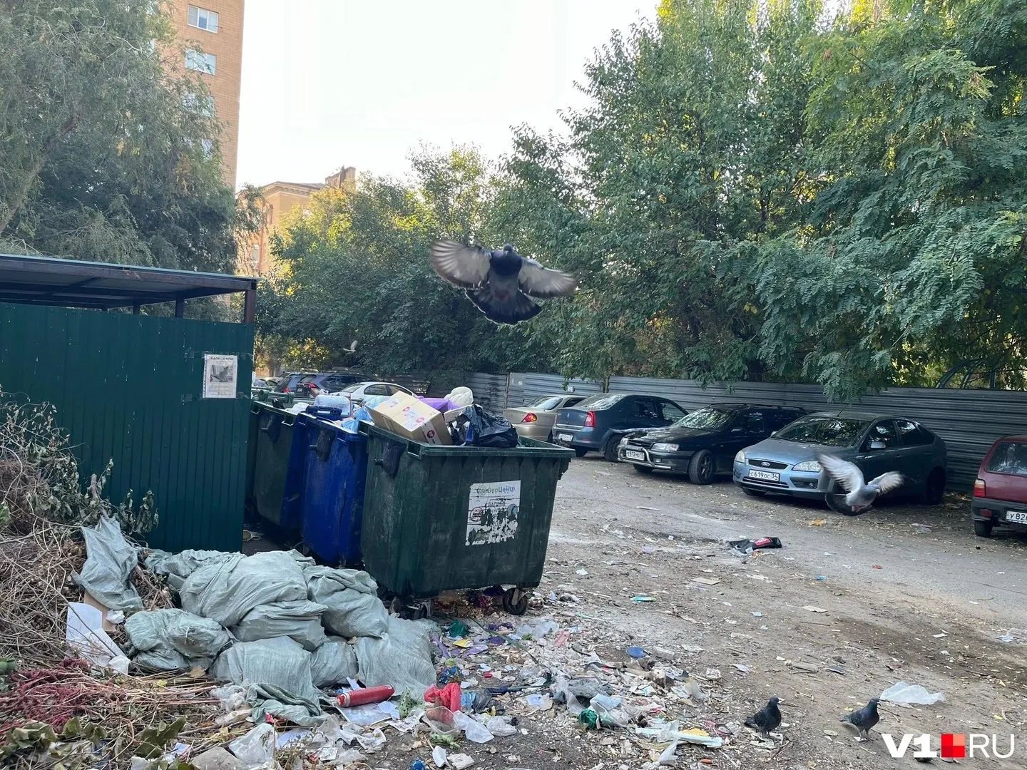 Площадка за забором у Дома малютки превратилась в стихийную свалку: мусор, мебель и старые покрышки. Жители требуют уборки территории и контроля.