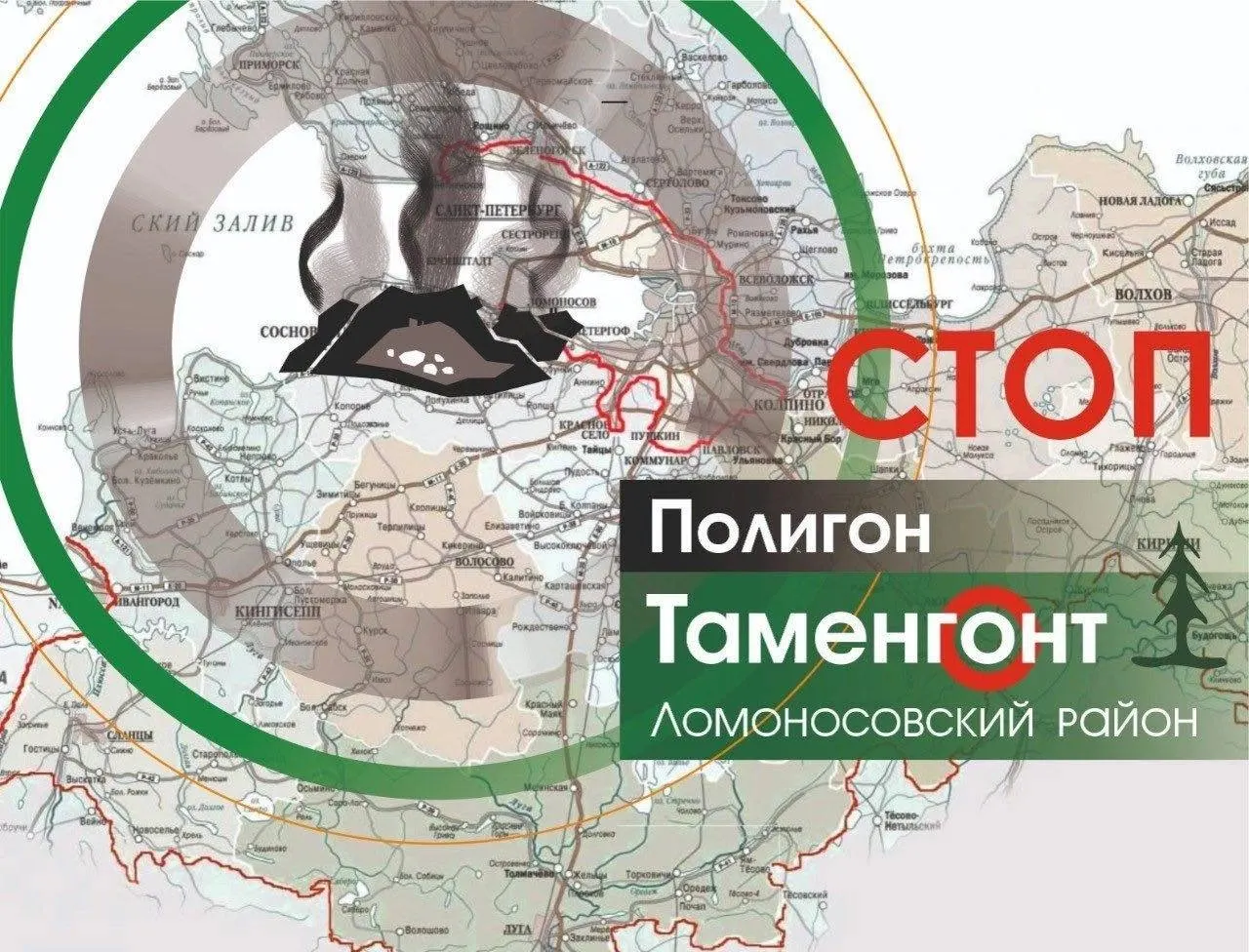 Следственный комитет потребовал вернуть лесной участок в лесной фонд и остановить вырубку; активисты и местные жители продолжают кампанию против проекта переработки отходов.