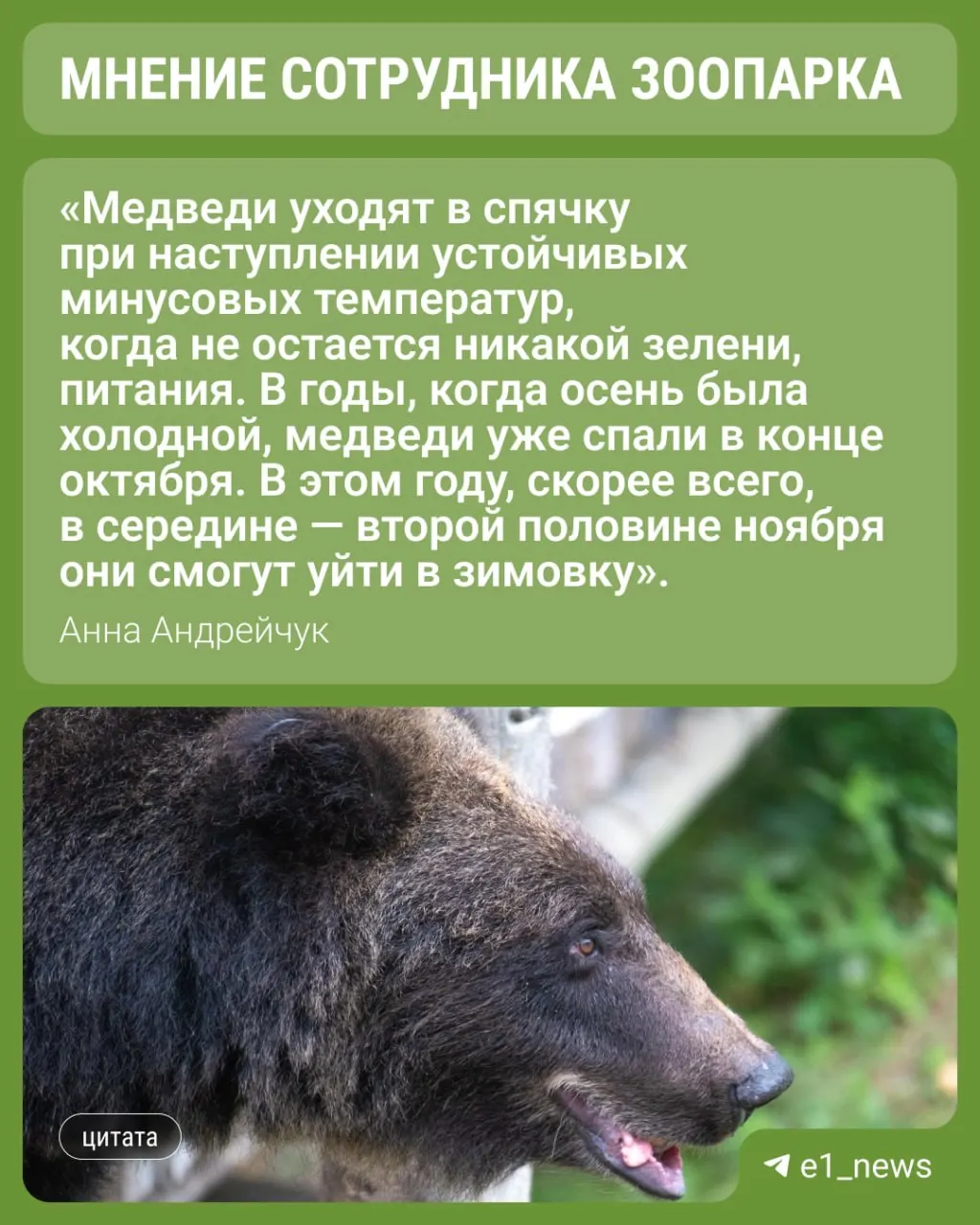 Экологи объясняют, что достаточное питание и запас жира критичны для нормальной спячки, а нехватка пищи может привести к раннему пробуждению.