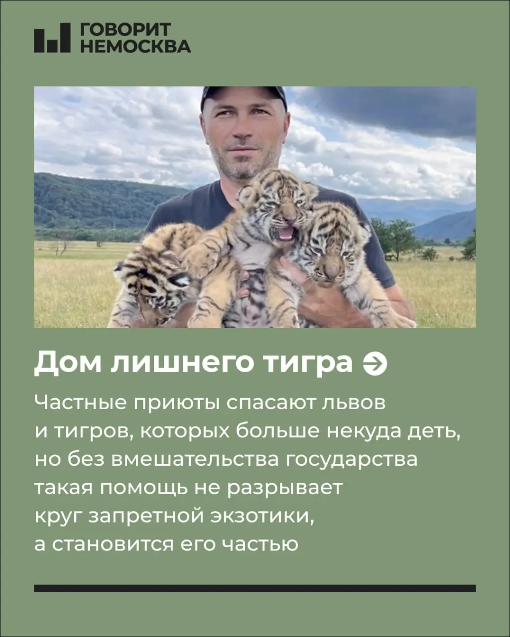 Без участия государства помощь частных приютов рискует стать частью запретной экзотики, что поднимает вопросы защиты животных и ответственности.