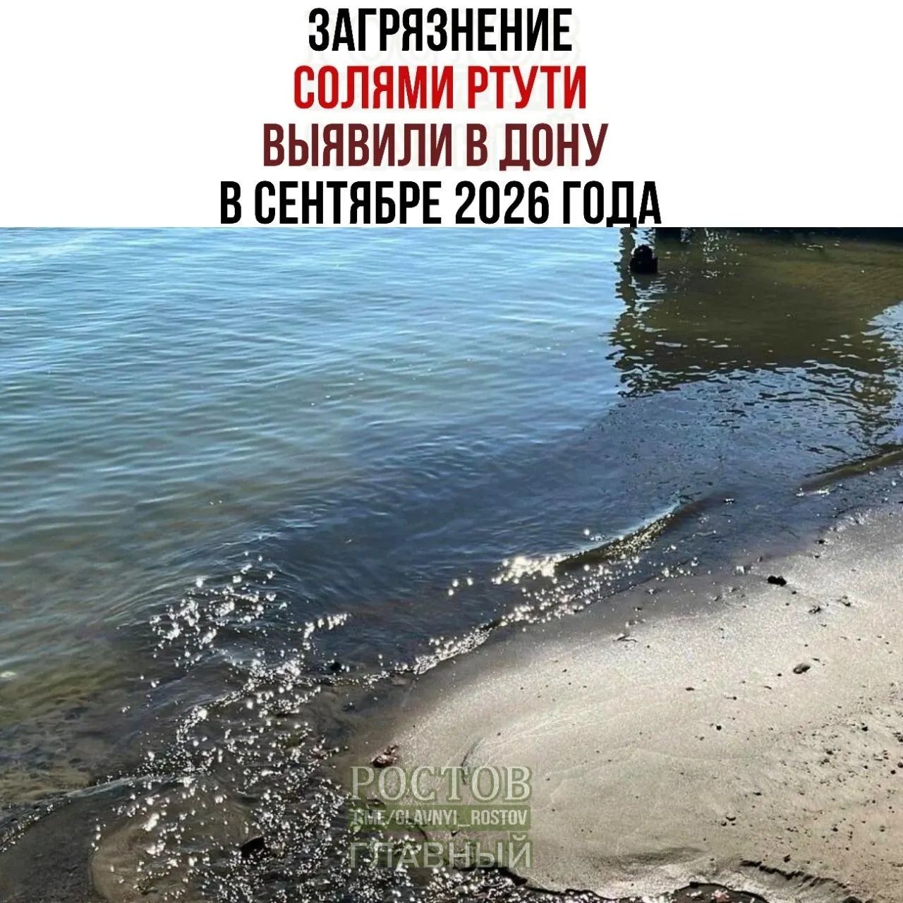 В Донe и соседних водоемах зафиксировано превышение предельно допустимой концентрации ртути; случаи зафиксированы в нескольких реках региона.